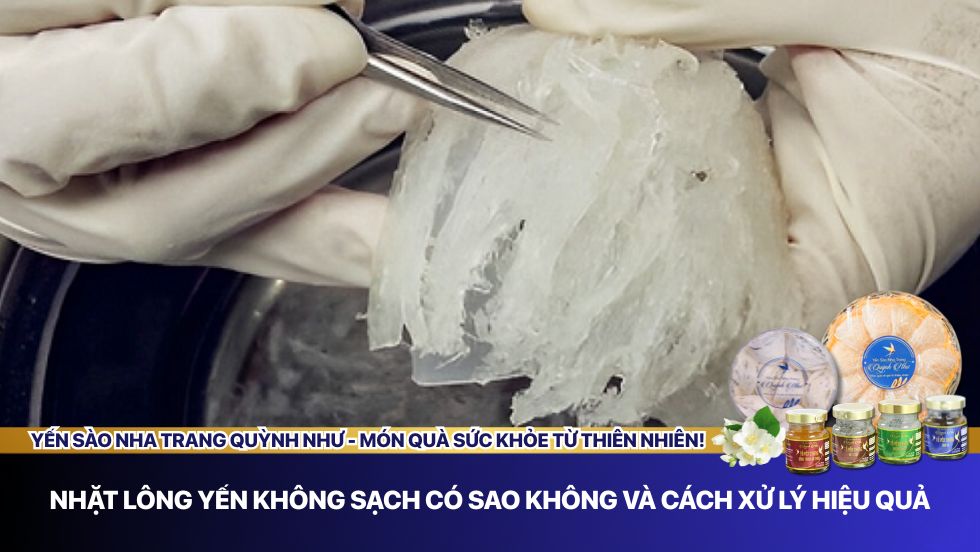Nhặt lông yến không sạch