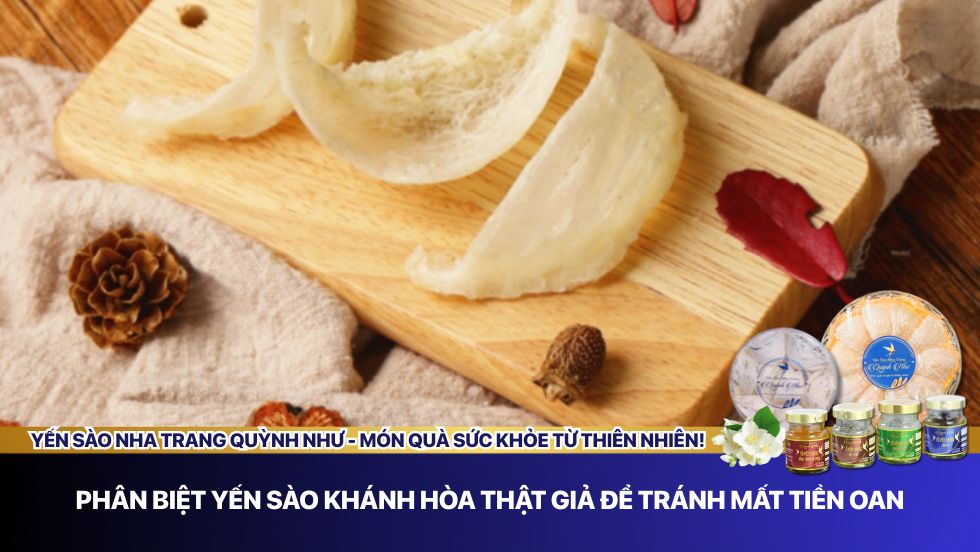 Phân biệt yến sào Khánh Hòa