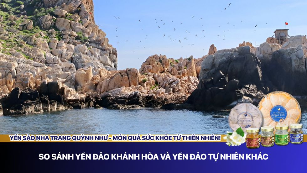 So sánh yến đảo Khánh Hòa