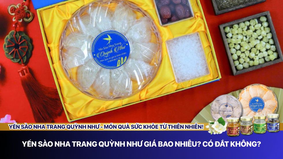 Yến sào Quỳnh Như giá